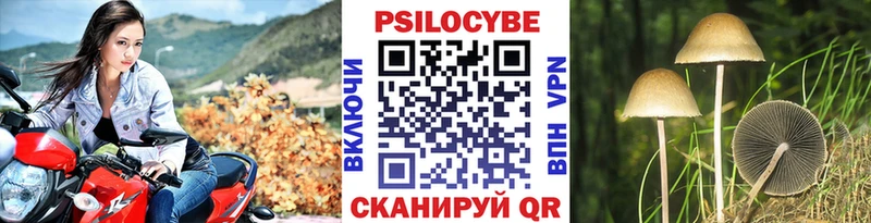цена Курганинск Псилоцибиновые грибы прущие грибы
